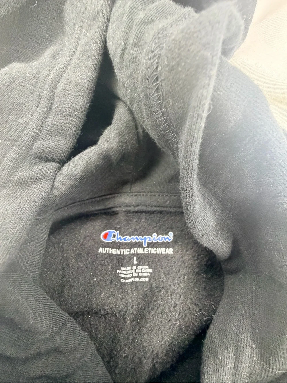 Kids Champion Hoodie (Large Boys)